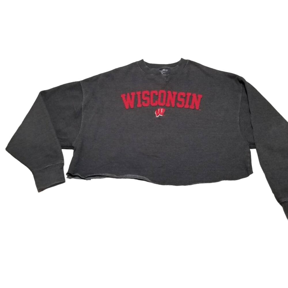 University of Wisconsin Gray Cropped Sweatshirt XL